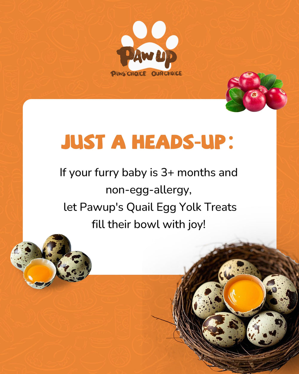 PAWUP paw-shaped treats pleasing picky pets with rich flavor.