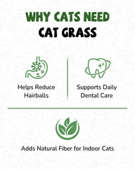 PAWUP prebiotics-added formula: promotes gut balance and regularity.