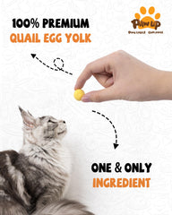 PAWUP quail egg yolk snack close-up highlights high-protein bite.
