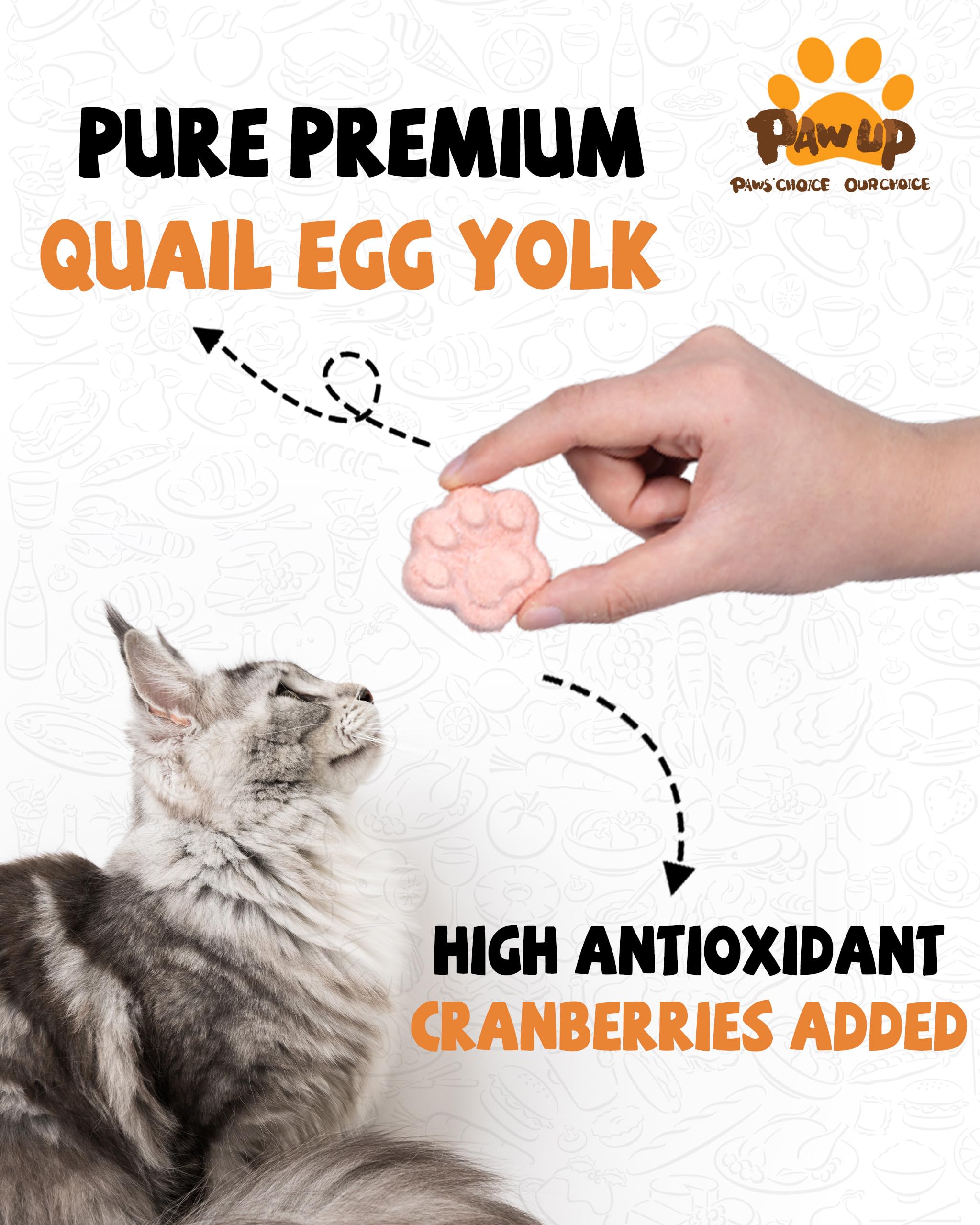 PAWUP quail egg yolk close-up highlighting high-protein, natural ingredients.