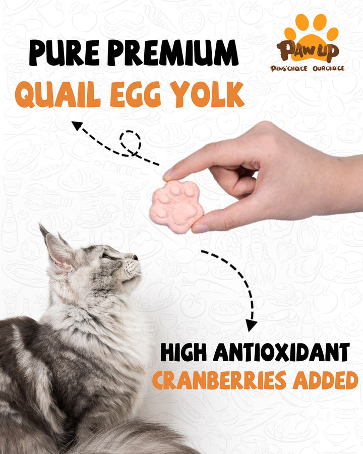 PAWUP quail egg yolk close-up highlighting high-protein, natural ingredients.