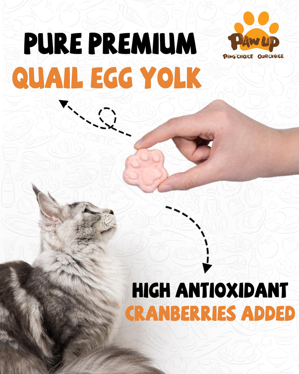 PAWUP quail egg yolk close-up highlighting high-protein, natural ingredients.