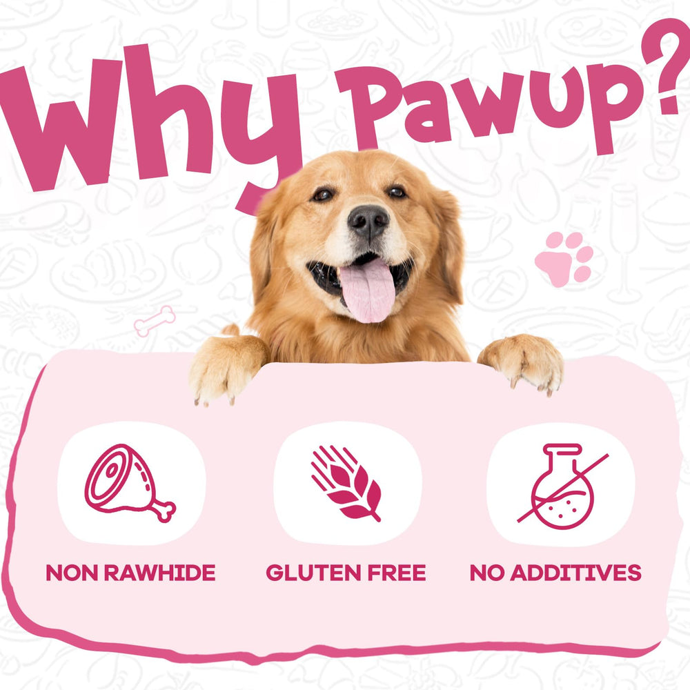 PAWUP rawhide-free dog bone offers a safer chew option.
