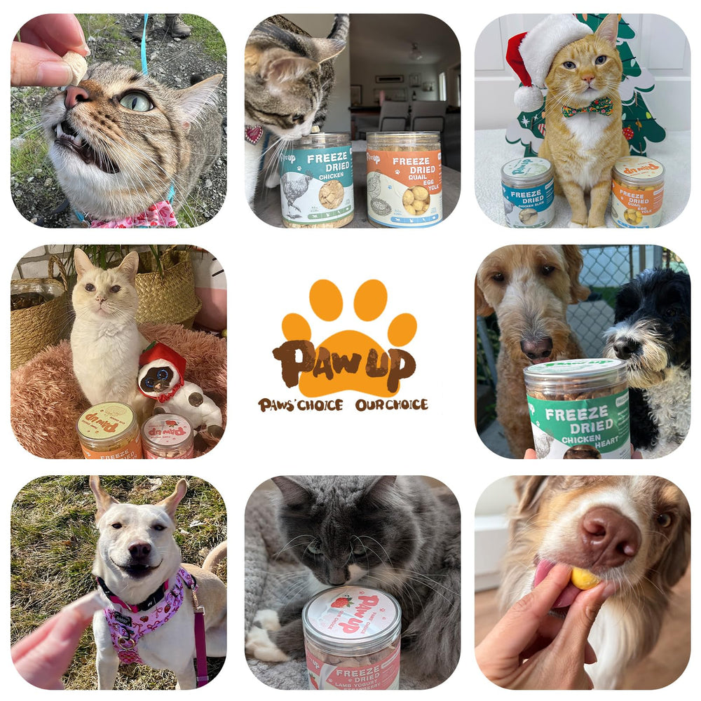 PAWUP packaging features a resealable bag preserving freshness.