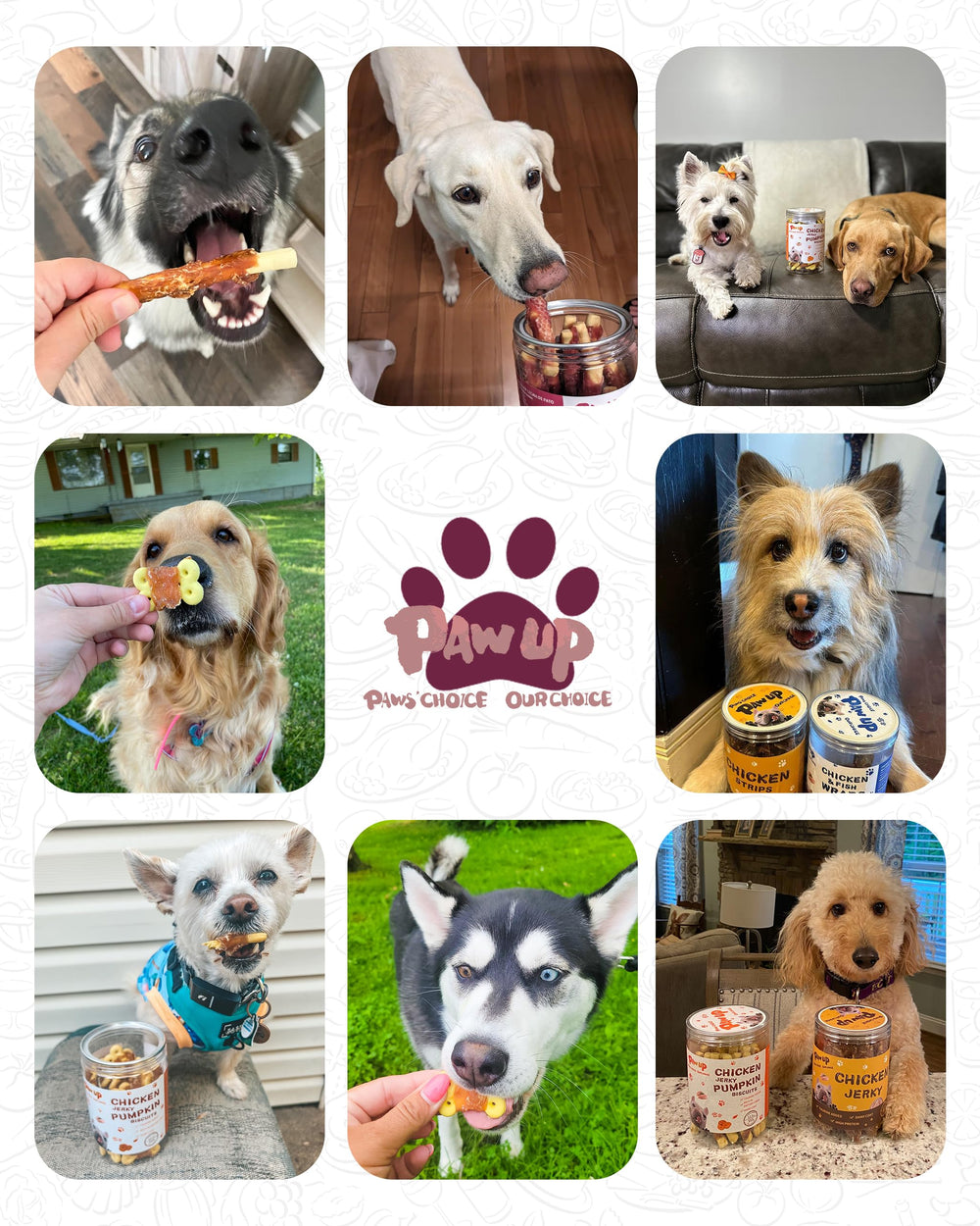 PAWUP resealable bag keeps treats fresh between uses