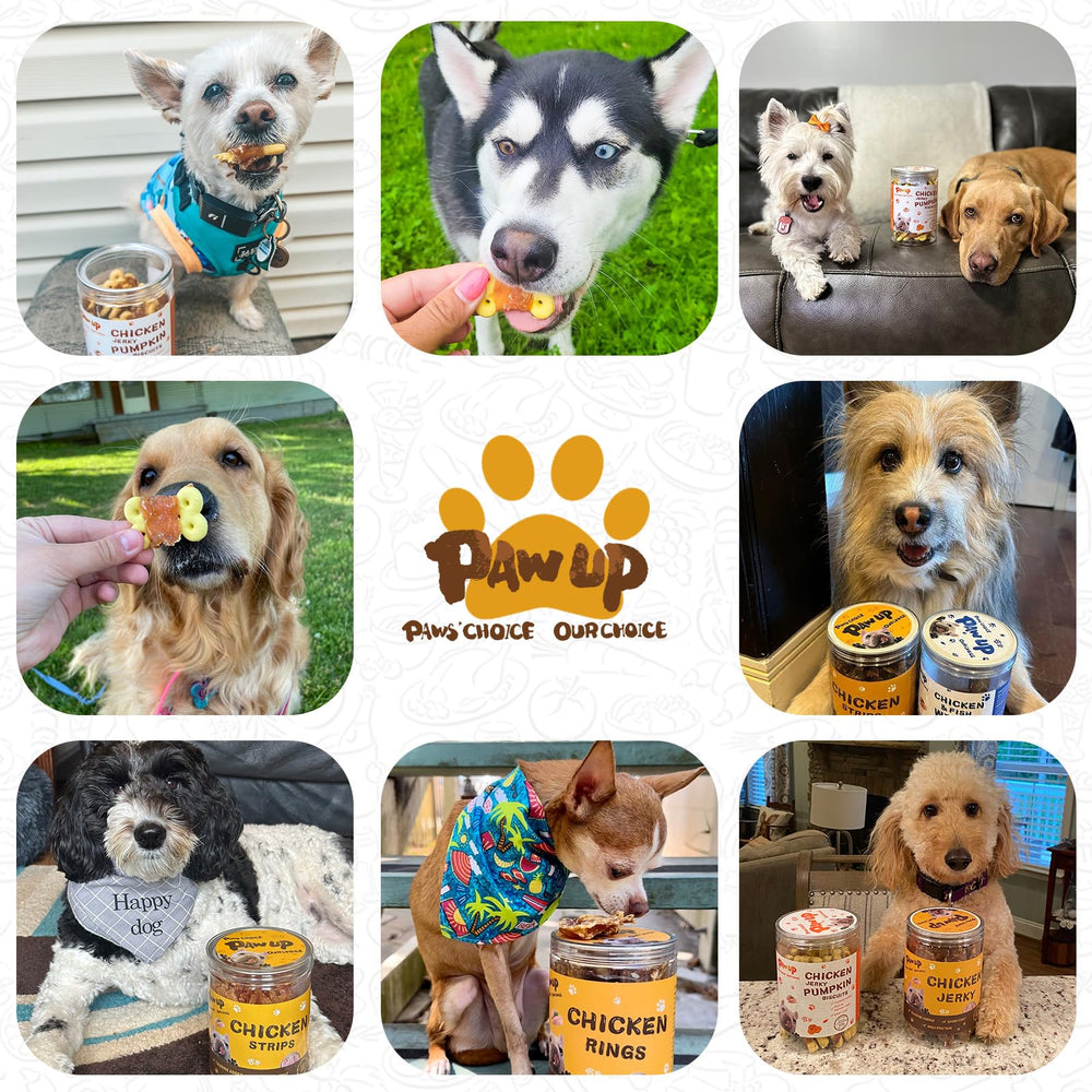 PAWUP pumpkin slices safety labels; batch-tested for safety and purity