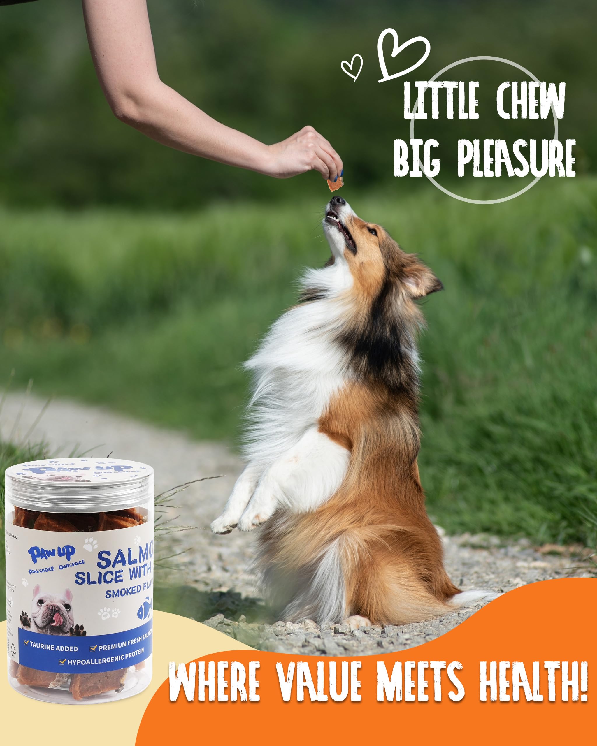 PAWUP training rewards make sessions enjoyable for dogs.