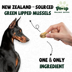 PAWUP single-ingredient dog treat shown as natural grain-free snack
