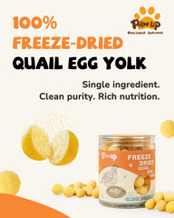 PAWUP single-ingredient quail egg yolk snack for clean, simple nutrition.
