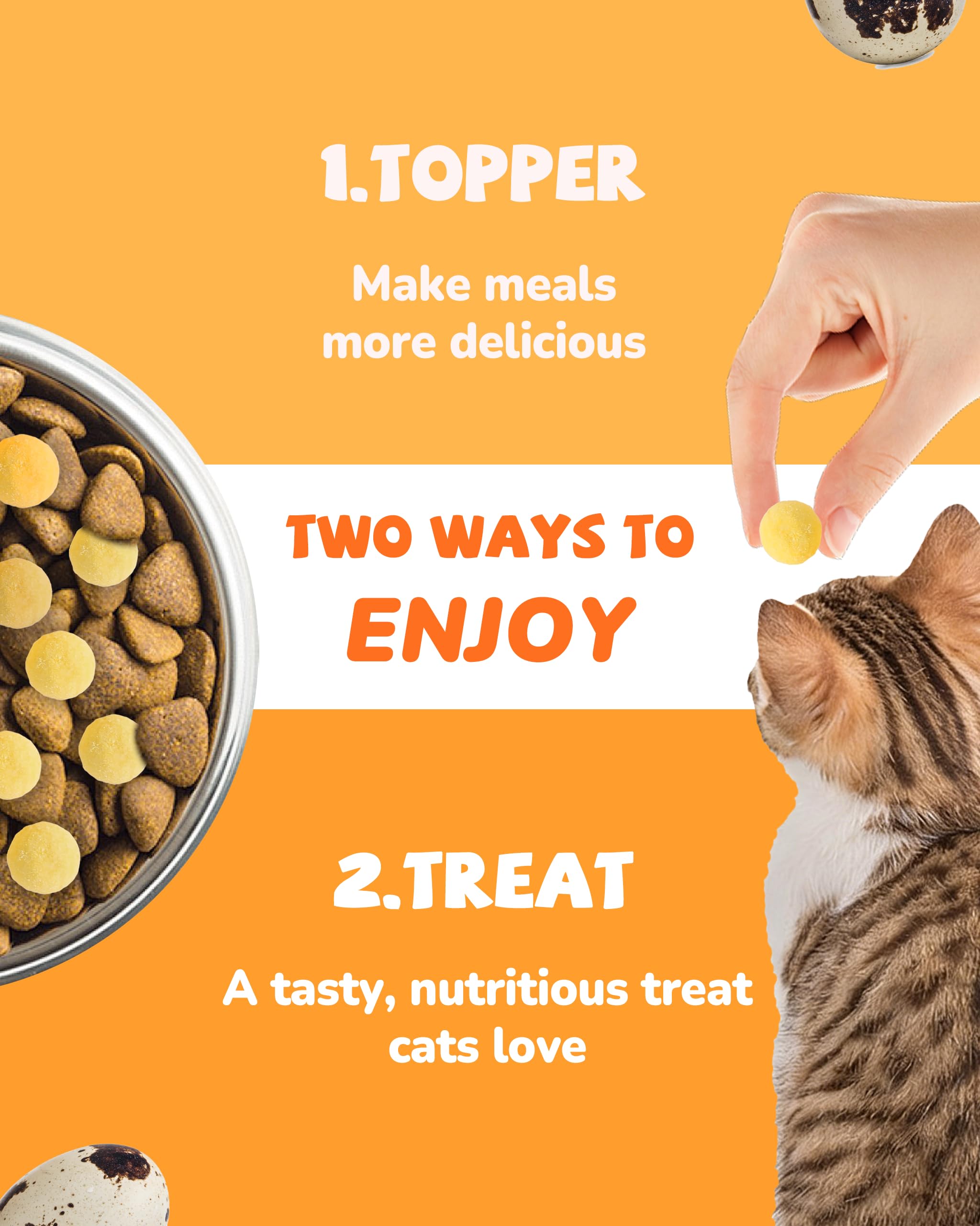 PAWUP training reward image, pets eagerly respond to tasty snack.
