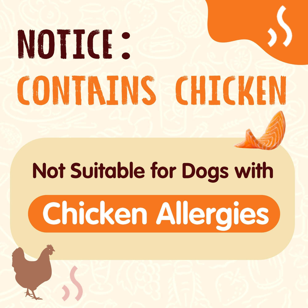 PAWUP Human-Grade Salmon Treats – safe, fish-forward snack for dogs