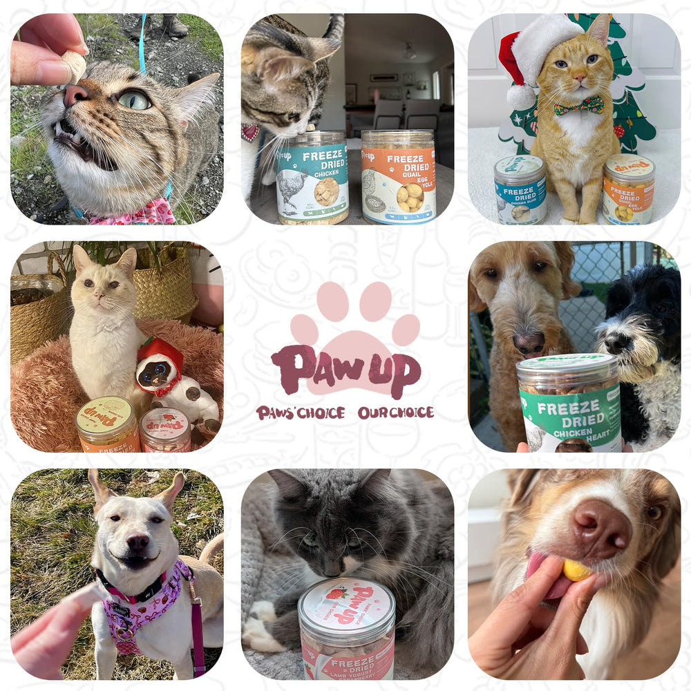 PAWUP treats softened with water for tender texture.