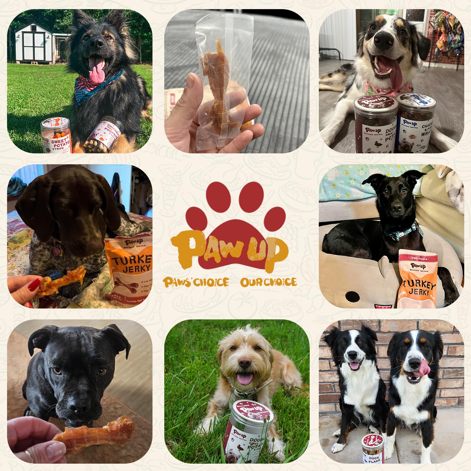 PAWUP portable packaging makes travel and outings easier.