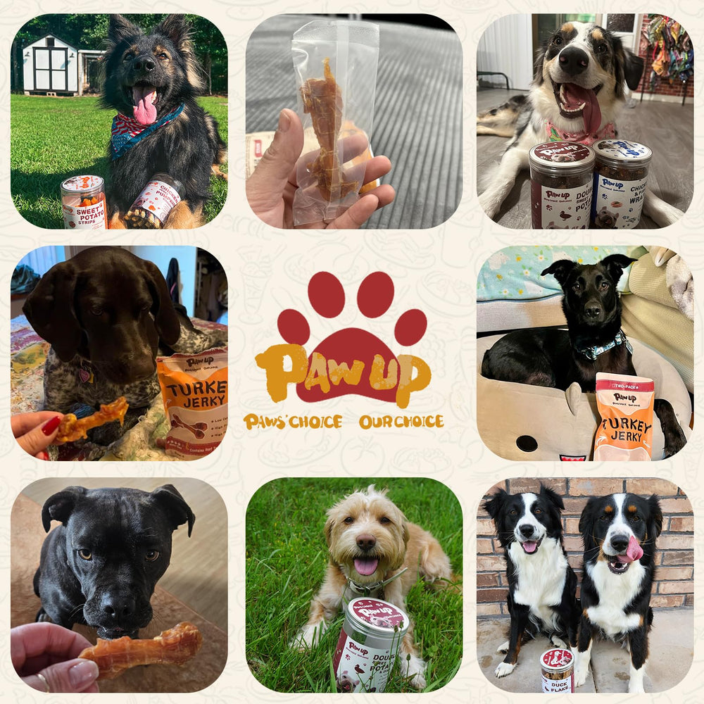 PAWUP portable packaging makes travel and outings easier.