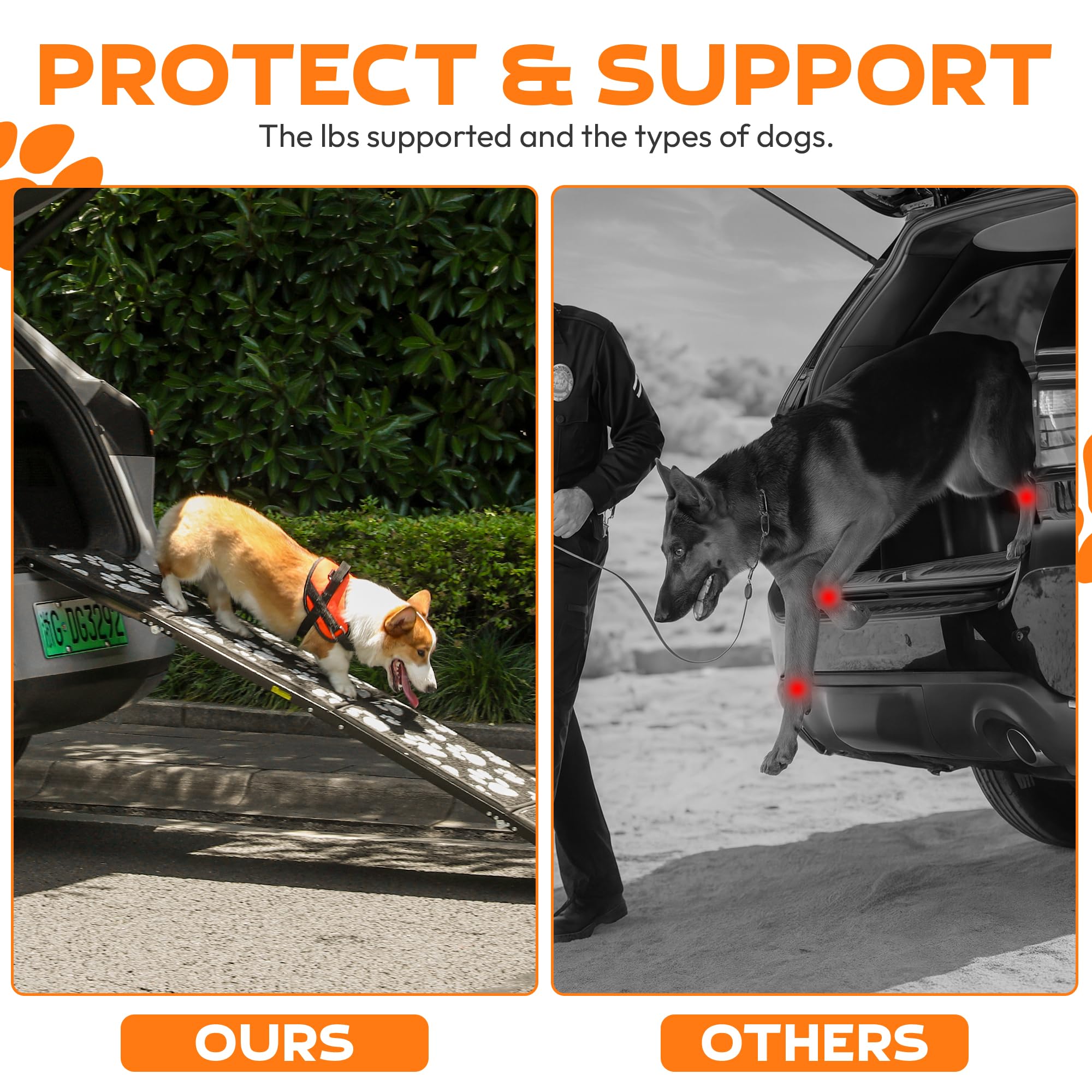 PAWUV heavy-duty yet lightweight ramp supports up to 250 lb
