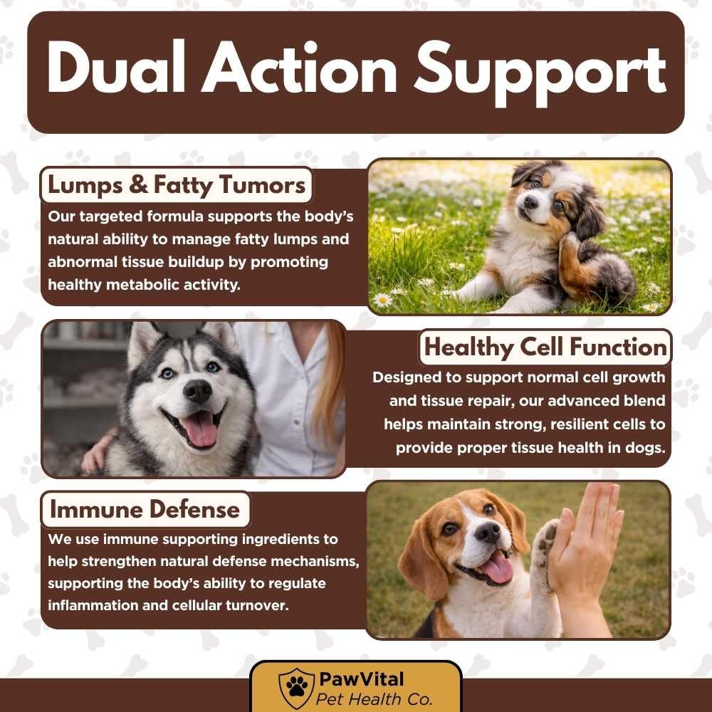 PawVital Alpha GPC and L-Carnitine ingredients aid fat utilization.