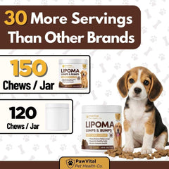 PawVital Chicken-flavored dog chews shown as a daily treat.