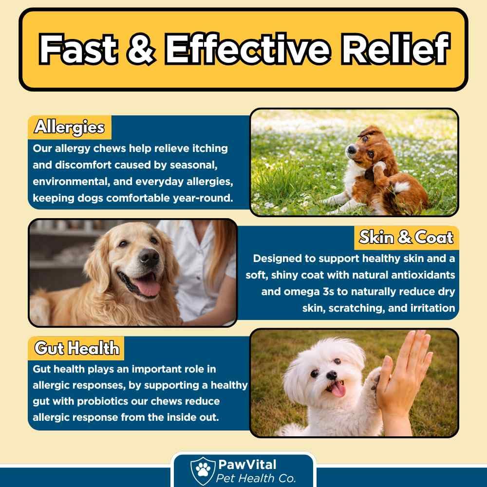 PawVital Dog Allergy Chews hypoallergenic formula suggests gentle support