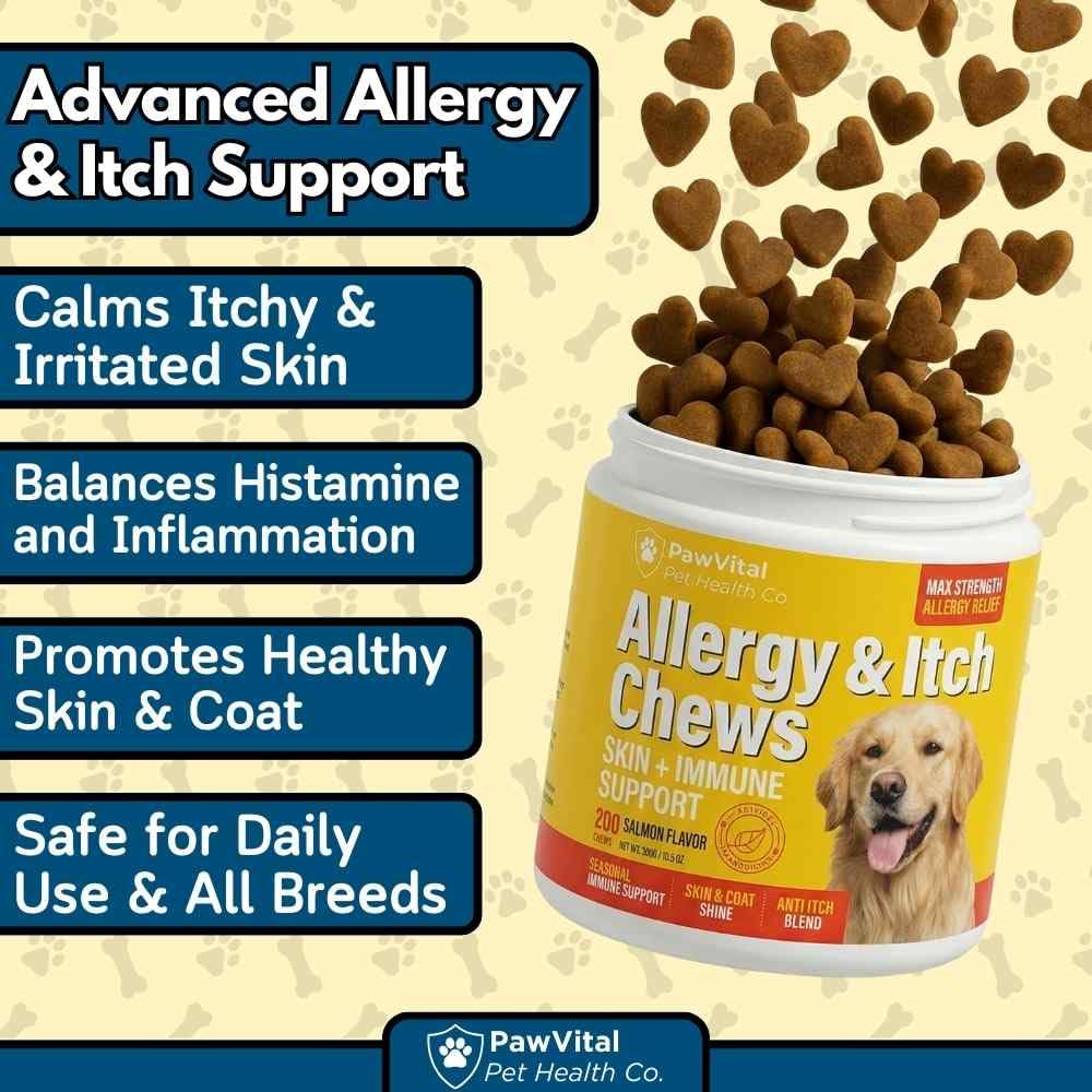 PawVital Dog Allergy Chews serving scene highlights easy daily dosing for dogs