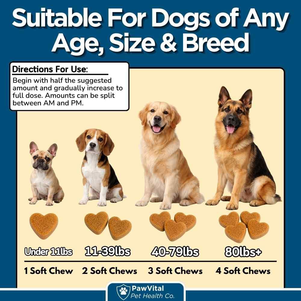 PawVital Dog Allergy Chews soft chews easy on sensitive stomachs