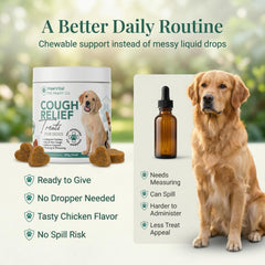 PawVital bottle with label demonstrates convenient packaging for daily use.