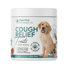 PawVital dog cough medicine chews in a bowl offering tasty relief and easy dosing.