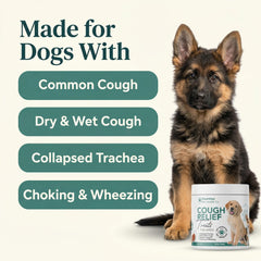 PawVital real chicken chews closeup shows natural ingredients dogs love.