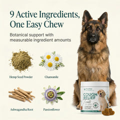 PawVital chew in dog mouth illustrates easy administration for caretakers.
