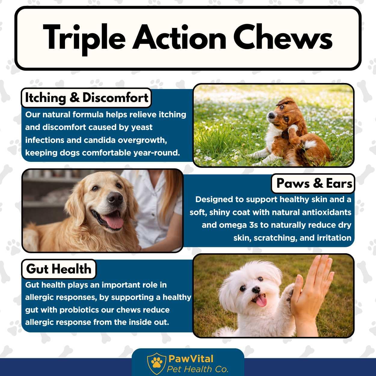 PawVital dog happily chews bacon flavored treat