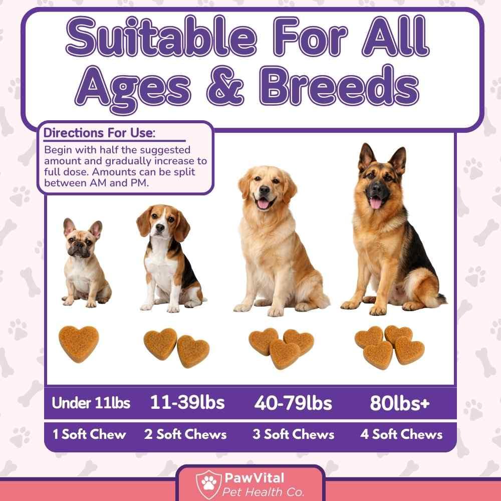 PawVital bladder control chews reducing accidents image