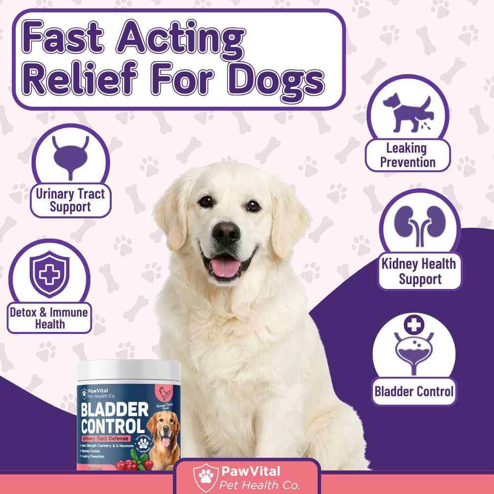 PawVital chicken flavor UTI chews appealing to dogs