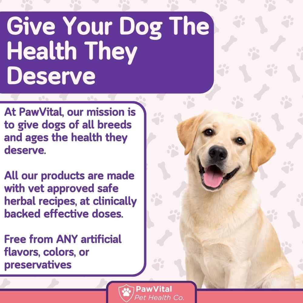PawVital daily routine image with 90 chew supply for care
