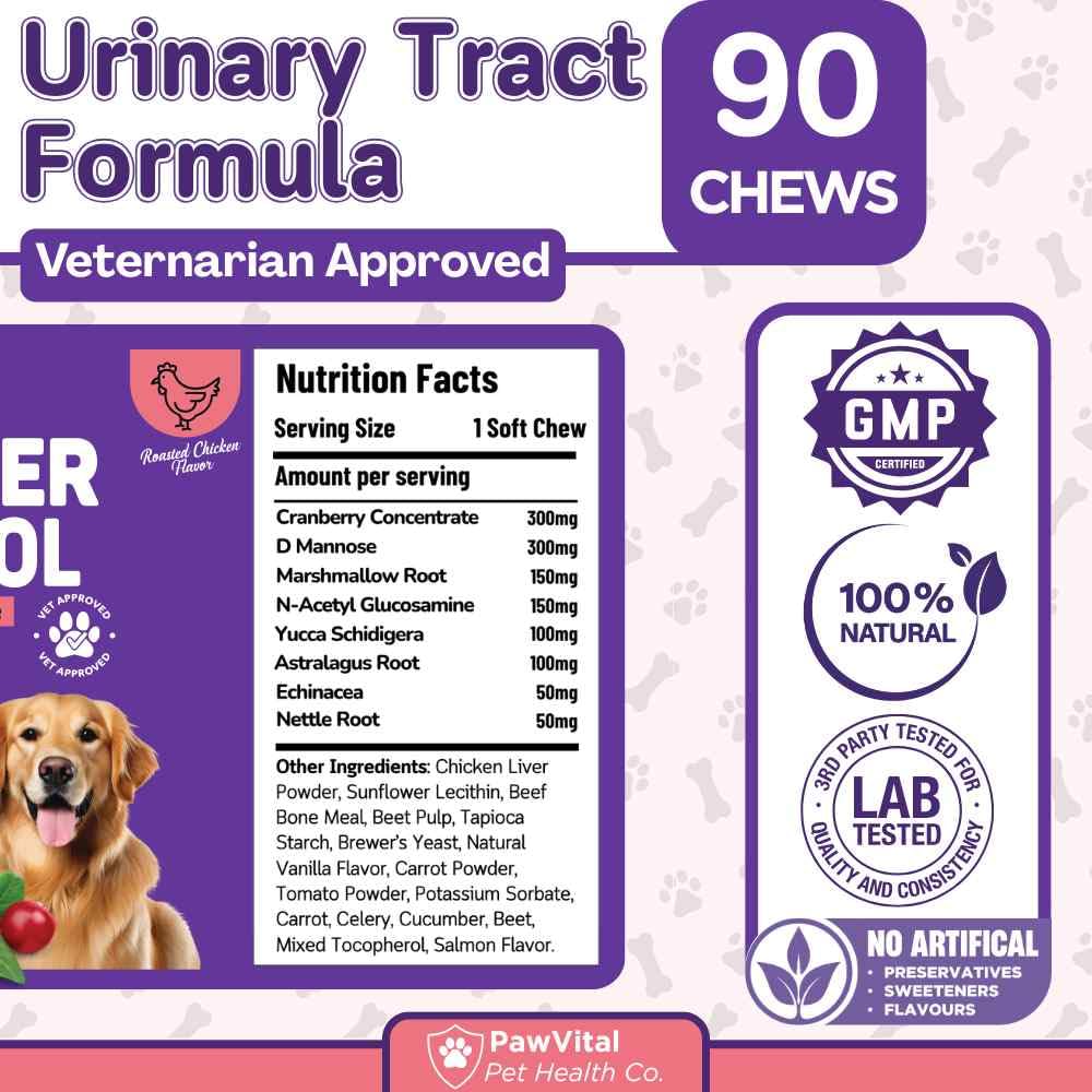 PawVital senior dog using chews for age friendly support