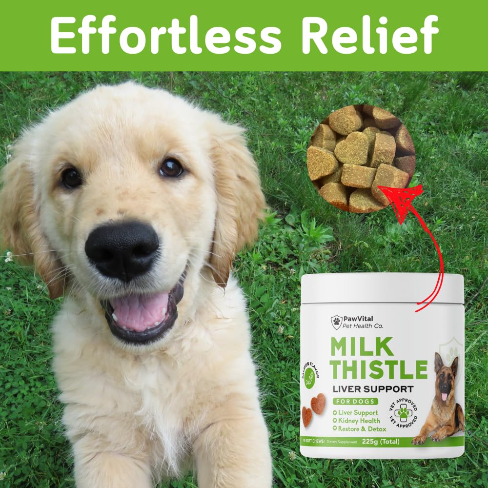 PawVital dosage-controlled chews ensure consistent, accurate servings for dogs.