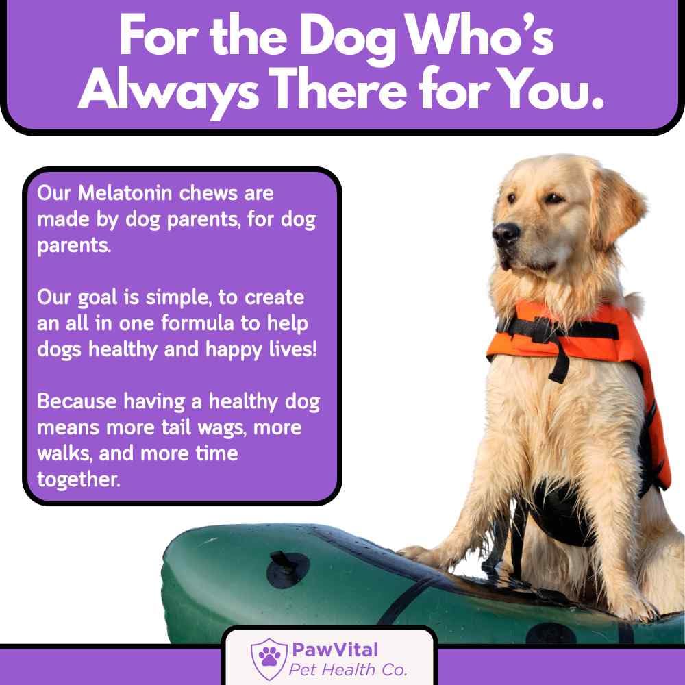 Close-up of PawVital treats appealing to dogs of all sizes