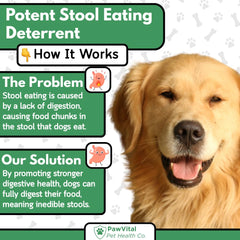 PawVital No Poo Chews jar and label—odor-reducing herbs for fresher breath
