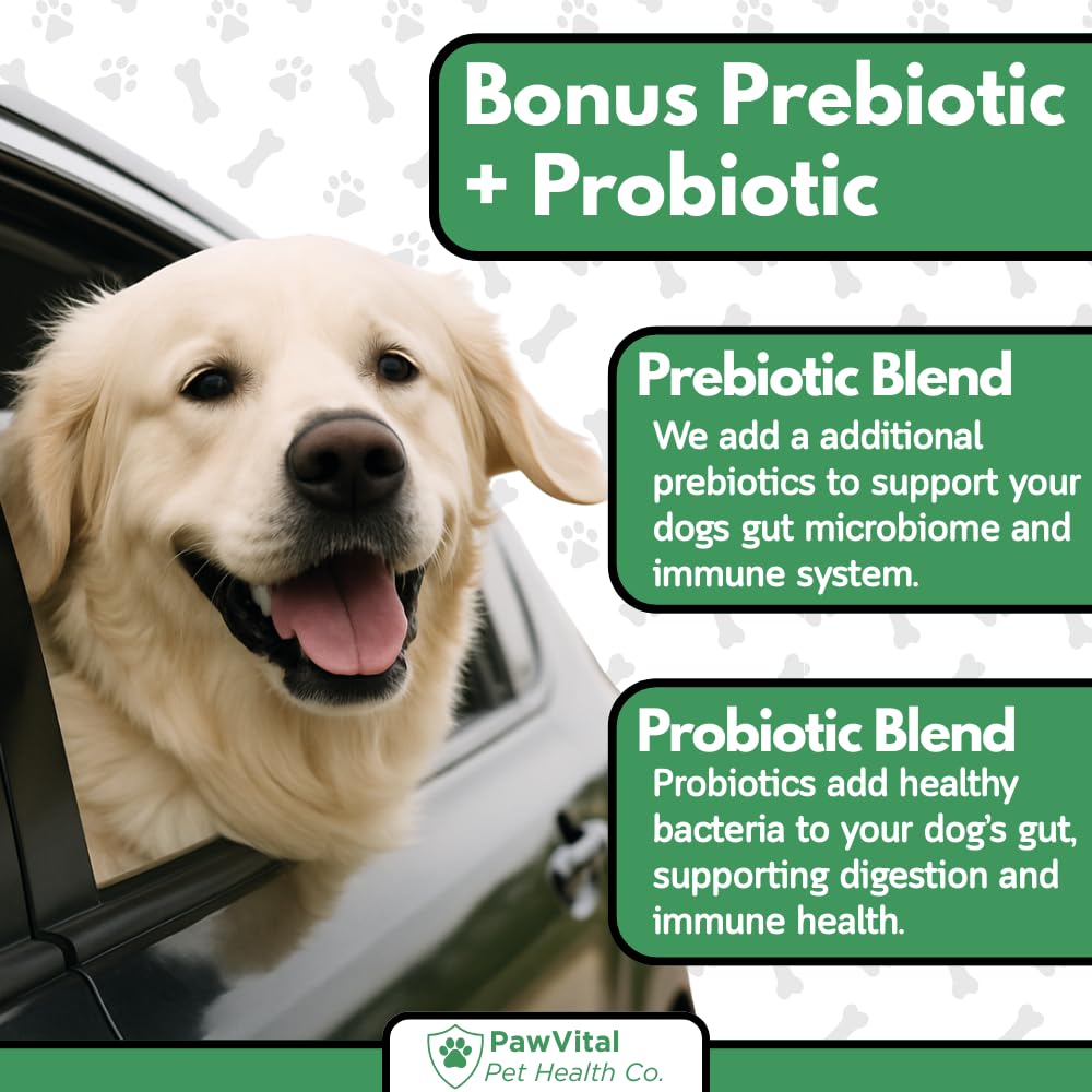 PawVital No Poo Chews real chicken flavor—premium treat that supports gut balance
