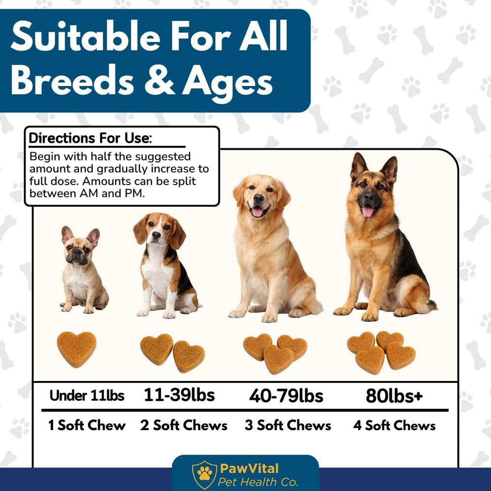 PawVital real chicken and veggie blend supports canine health