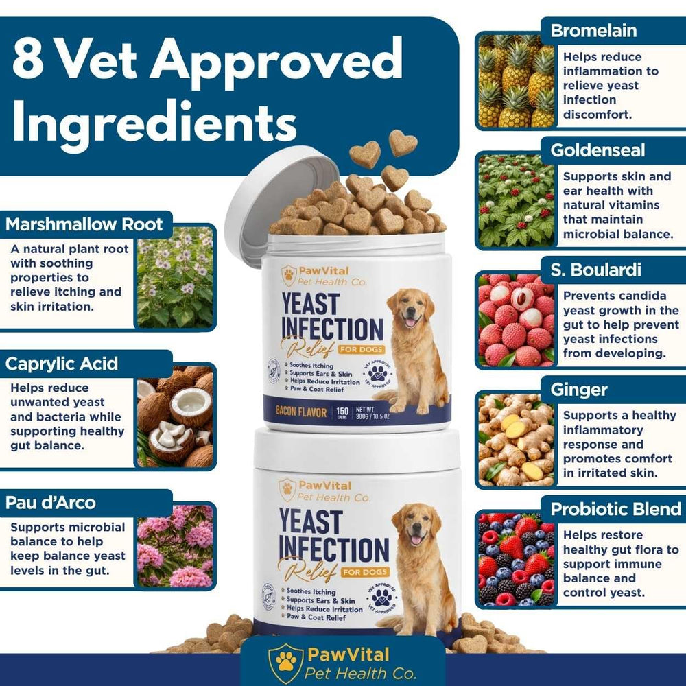 PawVital yeast infection relief chews ingredients highlight probiotics and herbs