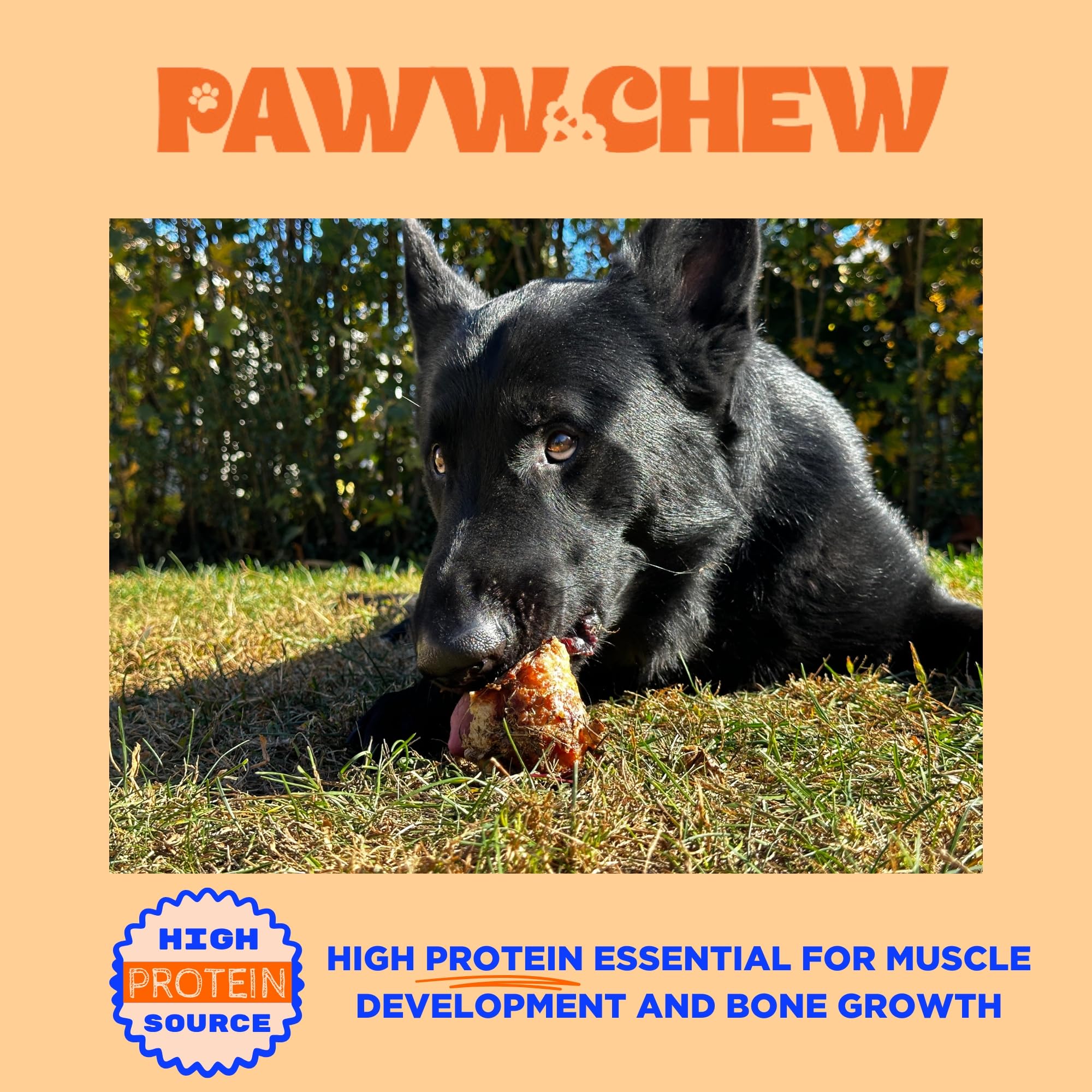 PAWW CHEW long lasting chew designed for aggressive chewers