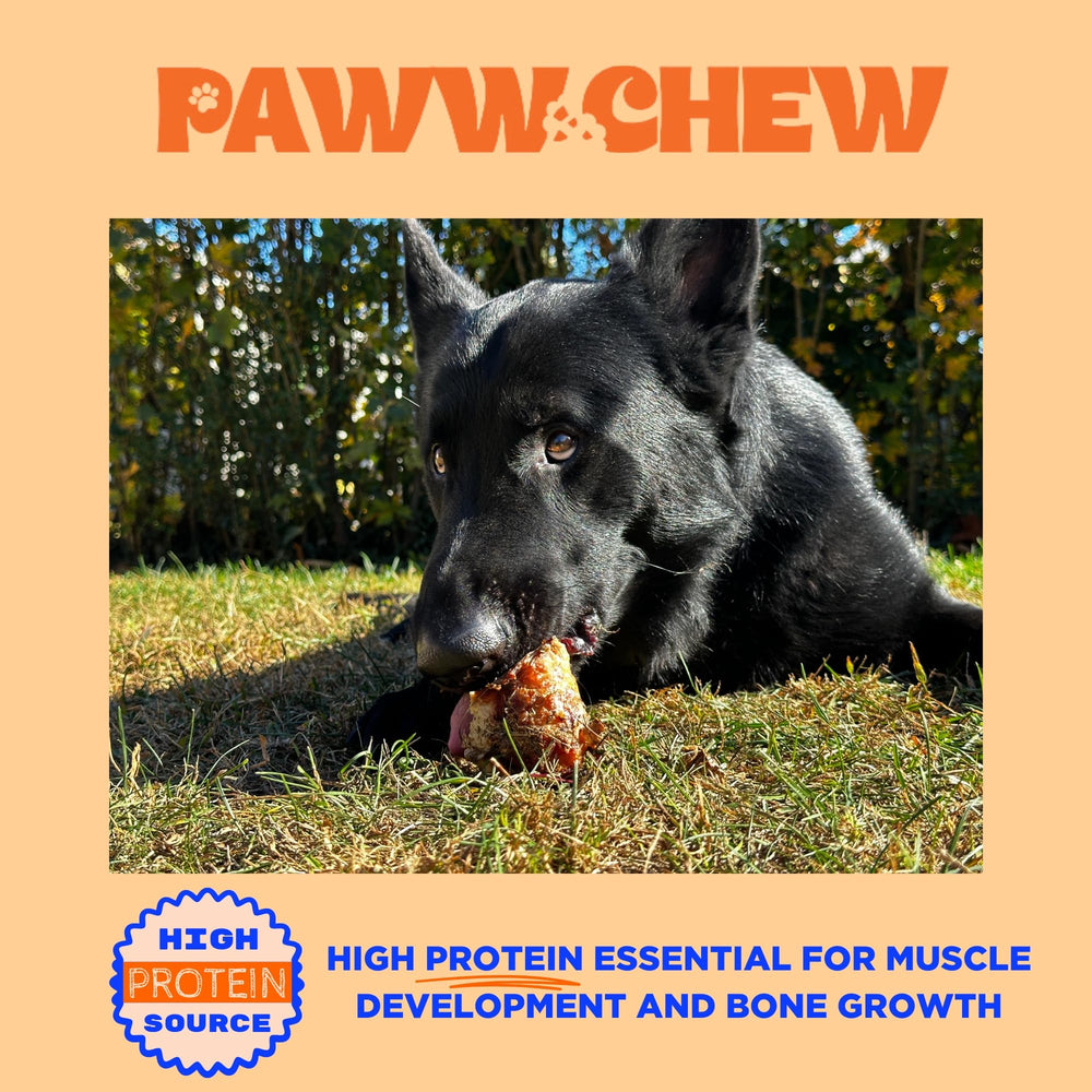 PAWW CHEW long lasting chew designed for aggressive chewers