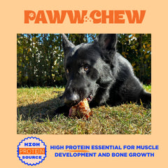PAWW CHEW long lasting chew designed for aggressive chewers