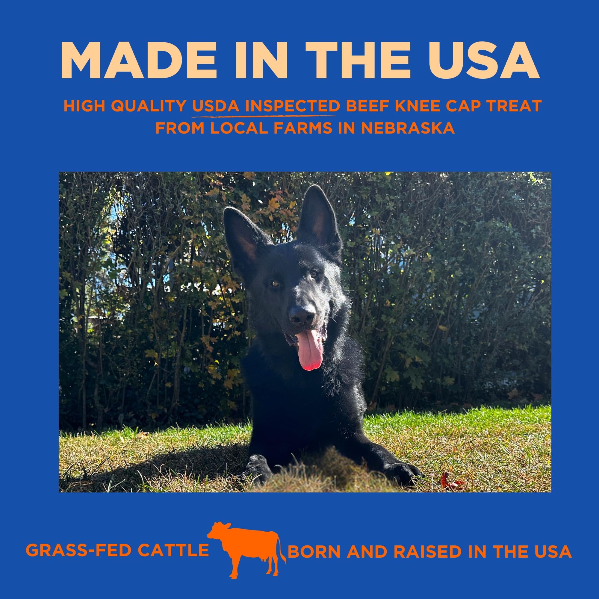 PAWW CHEW knee caps illustrate oral health benefits through natural scraping