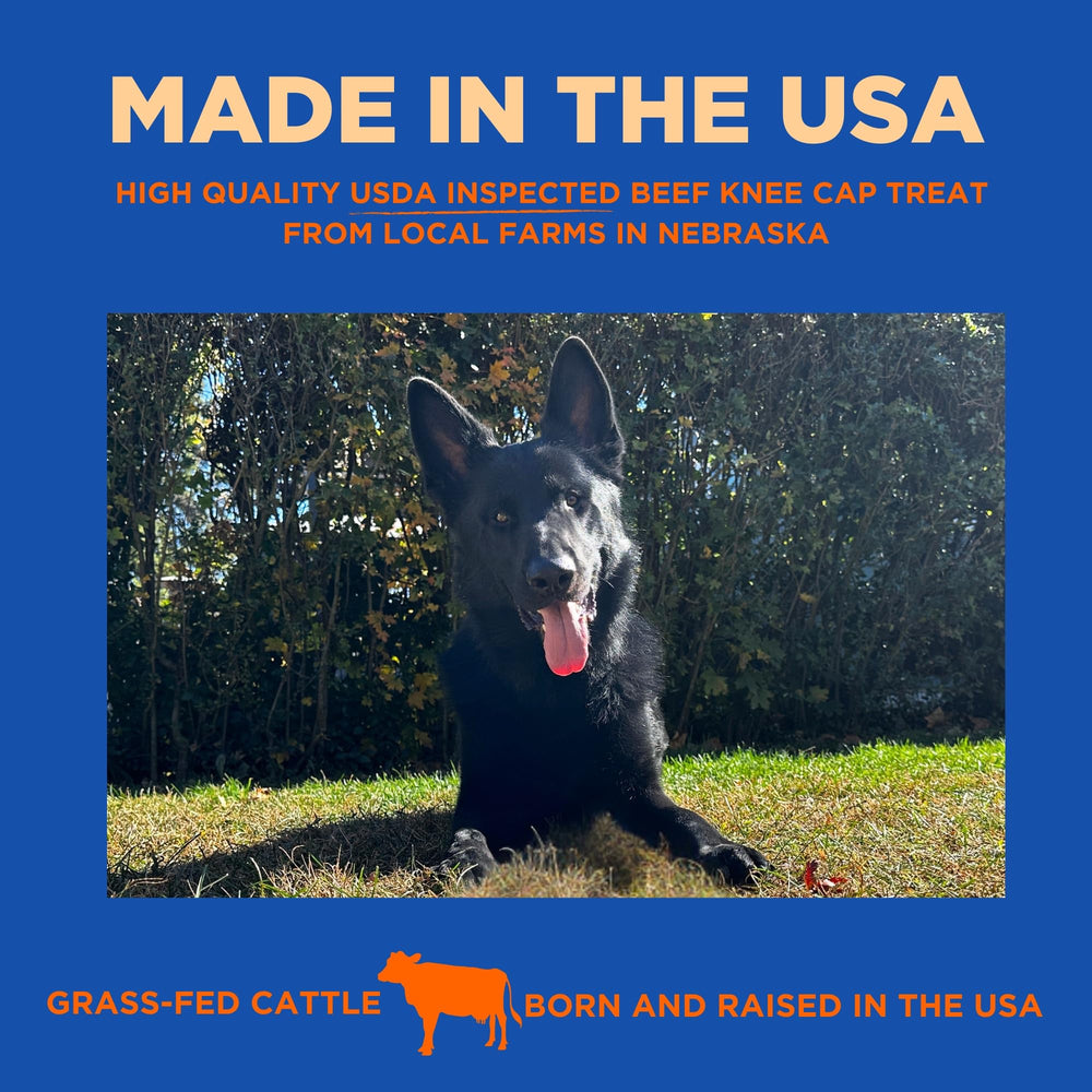 PAWW CHEW knee caps illustrate oral health benefits through natural scraping