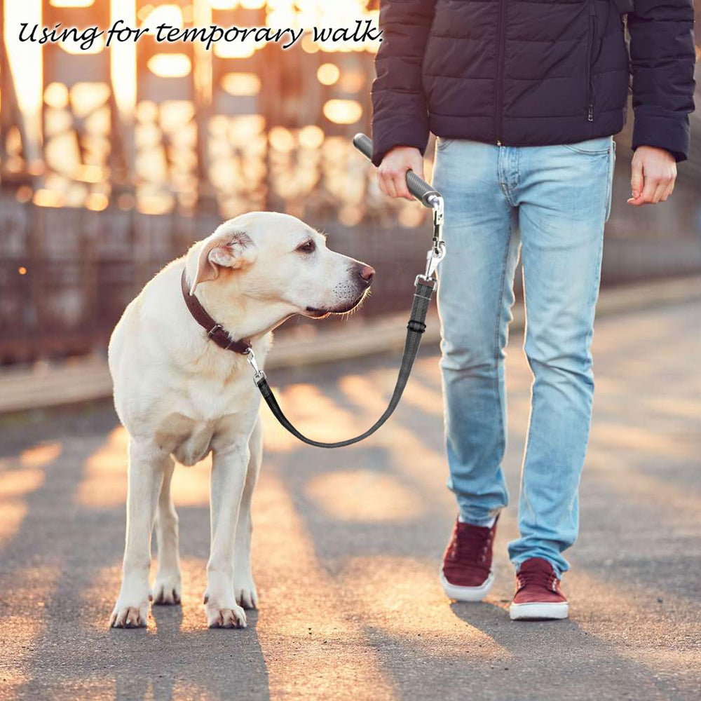 Pawxaw high-carbon stainless steel quick-release interface is durable.