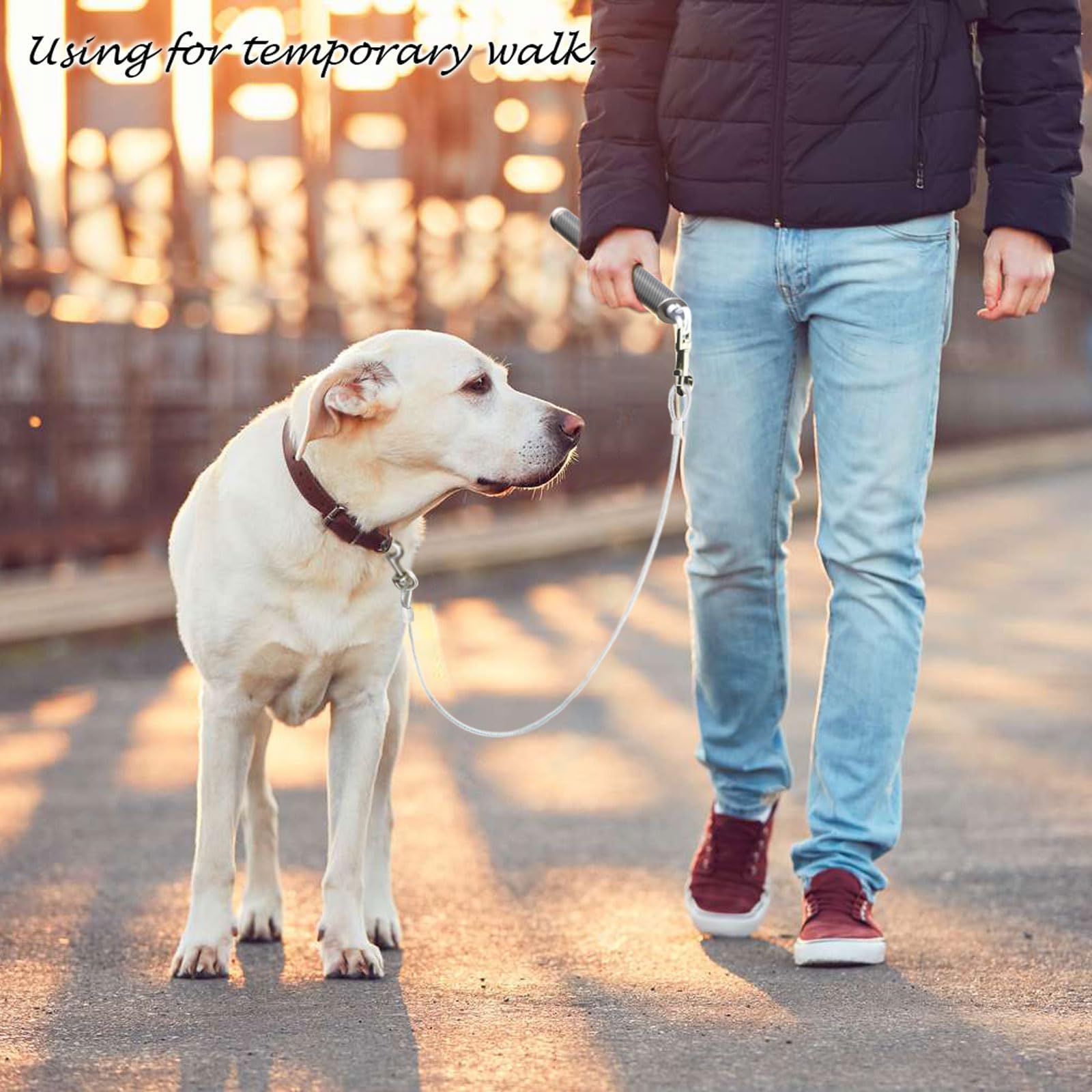 Pawxaw universal bike compatibility fits most bicycles and dogs.