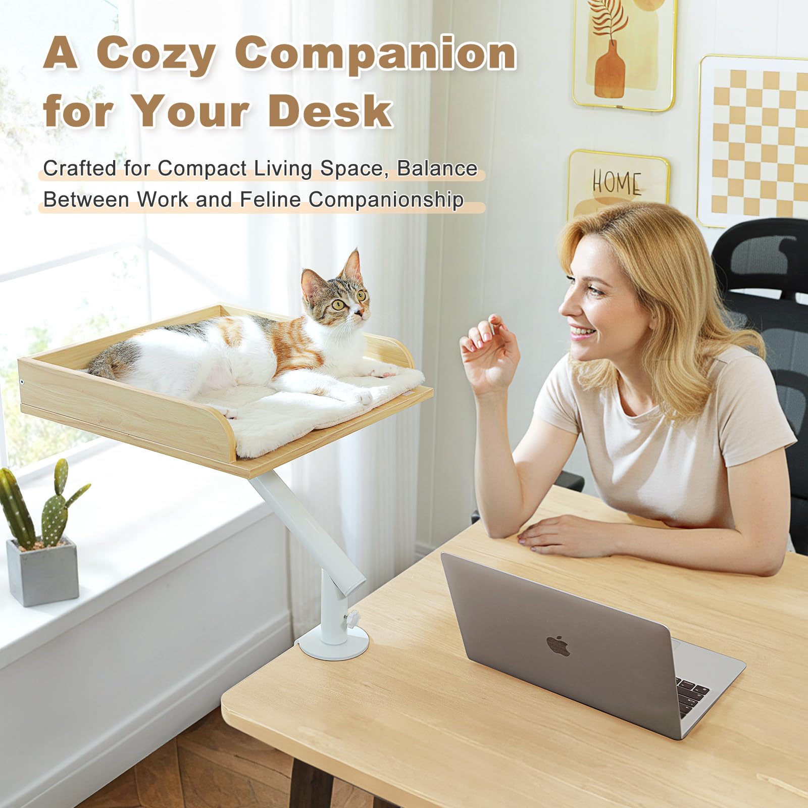 PAWZ Road supports up to 50 pounds for secure lounging.