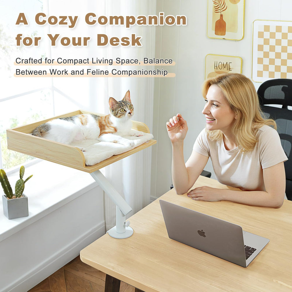 PAWZ Road supports up to 50 pounds for secure lounging.