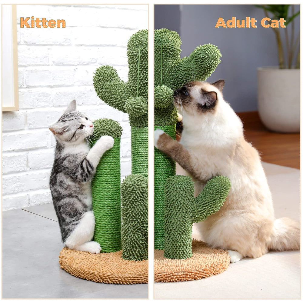 PAWZ Road cat post offers adjustable height for growing cats