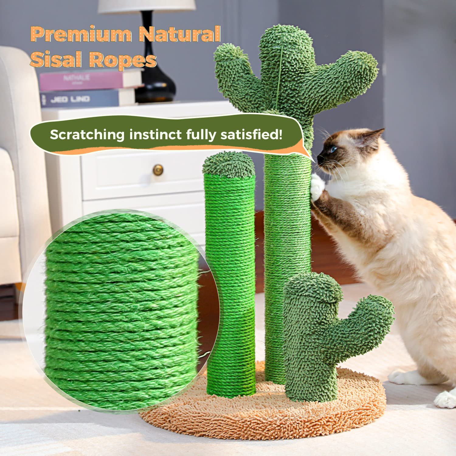 PAWZ Road quick-assembly design helps you set up in minutes